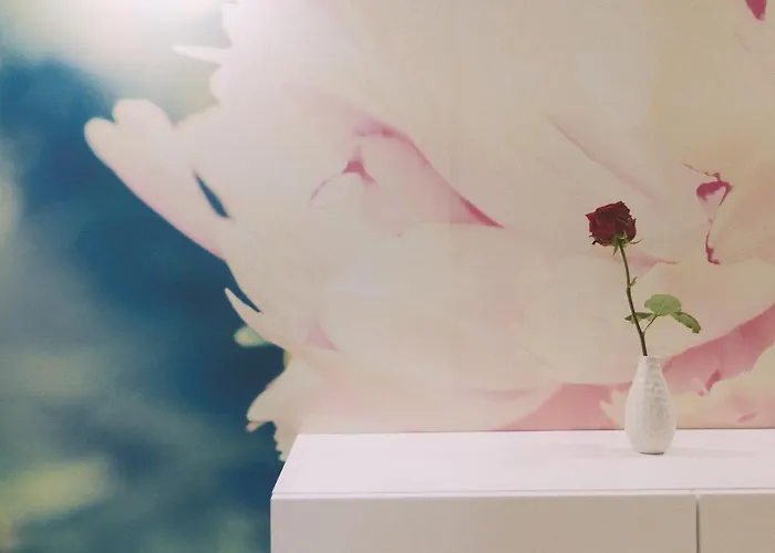 Ambassador Apartment